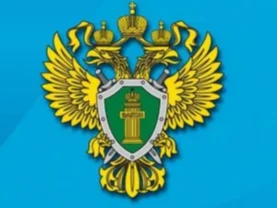 Ответственность за нарушение правил дорожного движения и эксплуатации транспортных средств