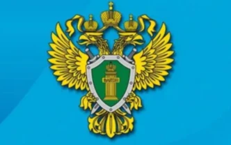 Ответственность за нарушение правил дорожного движения и эксплуатации транспортных средств