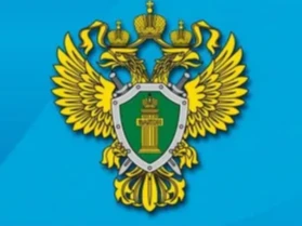 «О результатах проведённой проверки соблюдения требований законодательства в сфере оказания транспортных услуг»