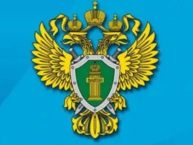 Какова ответственность за незаконную добычу рыбы?