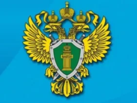 «О результатах проведённой проверки соблюдения трудового законодательства»