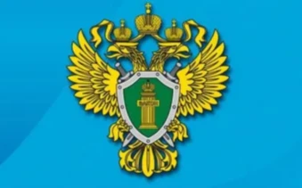 «О результатах проведённой проверки соблюдения трудового законодательства»