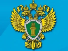 Прокуратура разъясняет: «Организация трудовой деятельности несовершеннолетних в свободное от учебы время»