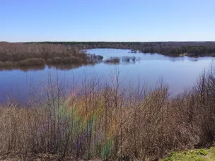 Паводковая ситуация в Ветлужском МО 16 апреля 2026 года