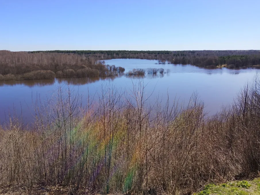 Паводковая ситуация в Ветлужском МО 16 апреля 2026 года