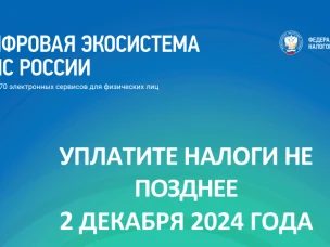 2 декабря 2024 года - срок уплаты имущественных налогов физическими лицами за 2023 год. На что стоит обратить внимание и как исполнить свою обязанность по уплате налогов в срок.