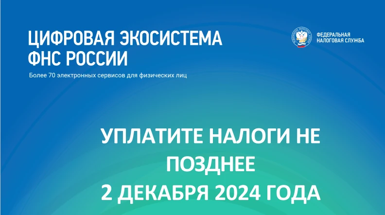2 декабря 2024 года - срок уплаты имущественных налогов физическими лицами за 2023 год. На что стоит обратить внимание и как исполнить свою обязанность по уплате налогов в срок.