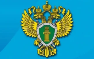 «О результатах проведённой проверки соблюдения законодательства в сфере лесопользования».