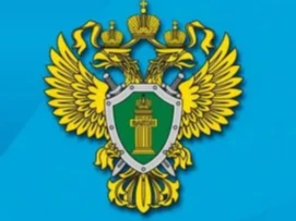 Уголовная ответственность за совершение диверсии