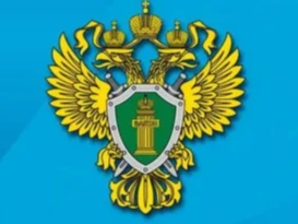 Уголовная ответственность за финансирование терроризма