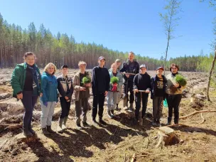 Юные лесоводы школьного лесничества «СОСна»  приняли участие в лесопосадке