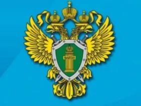 «О результатах проведённой проверки соблюдения прав обучающихся»