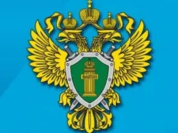 Вынесен обвинительный приговор