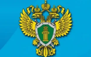 Вынесен обвинительный приговор