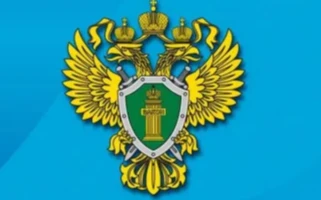 Вынесен обвинительный приговор