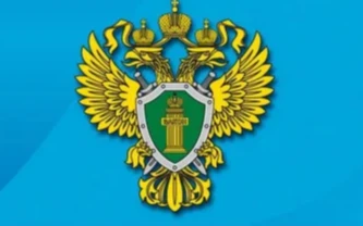 Правила поведения на льду и меры безопасности на водных объектах в зимний период