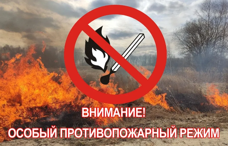Введен особый противопожарный режим