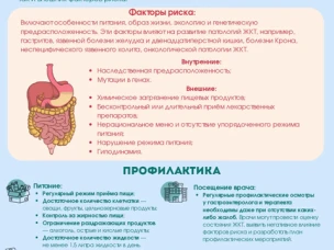 О профилактике заболеваний желудочно-кишечного тракта