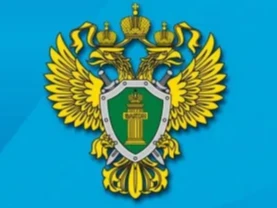 Установлена величина прожиточного минимума по РФ на 2026 год