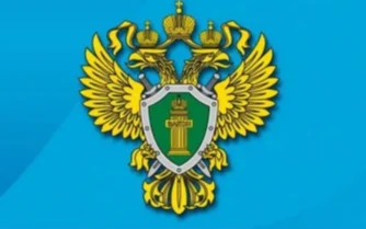 Вынесен обвинительный приговор