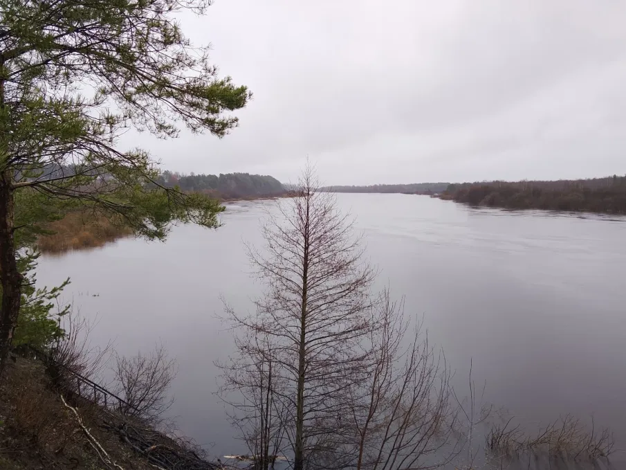 Паводковая ситуация в Ветлужском МО 19 апреля 2026 года