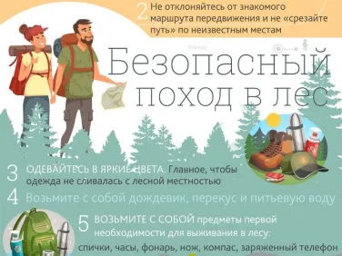 БЕЗОПАСНЫЙ ПОХОД В ЛЕС