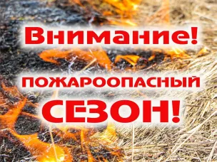 В лесах Нижегородской области с 17 апреля объявлен пожароопасный сезон