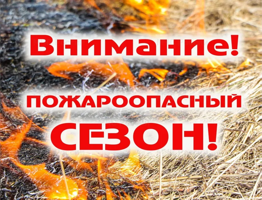 В лесах Нижегородской области с 17 апреля объявлен пожароопасный сезон