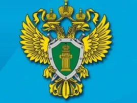 «О результатах проведённой проверки соблюдения требований законодательства о безопасности дорожного движения при содержании автомобильных дорог»