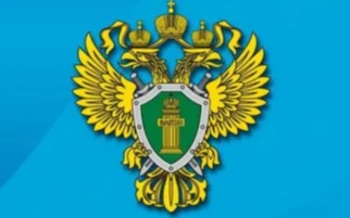 Прокуратура разъясняет меры по предупреждению коррупции