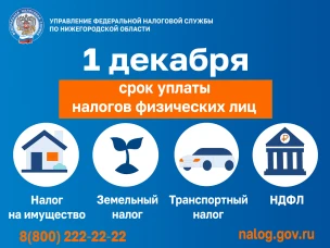 1 декабря 2025 года - срок уплаты имущественных налогов физическими лицами за 2024 год. На что стоит обратить внимание и как исполнить свою обязанность по уплате налогов в срок.