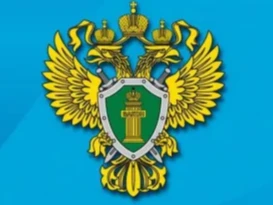 Извенения в социальной сфере