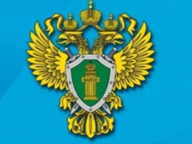 Об ответственности за «телефонный терроризм