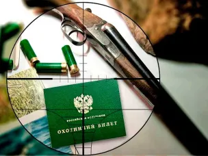 лимит и квоты добычи охотничьих ресурсов на территории Нижегородской области в период с 01 августа 2024 года до 01 августа 2025 года