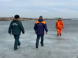 С начала года на водных объектах Нижегородской области зарегистрировано 9 происшествий