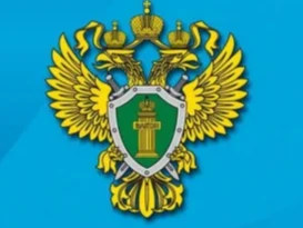 Как признать садовый дом жилым домом или жилой дом – садовым