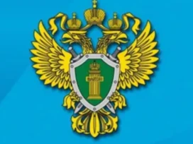 Ответственность за разговор по телефону во время управления транспортным средством.